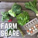 Summer Farm Share