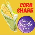 Summer Corn Share